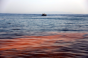 Загрязненность Мраморного моря