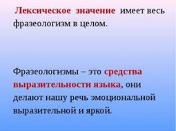 Фразеологизмы в русском языке и их значение в речи