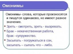 Омонимы, что это такое и можно ли без них в русском языке