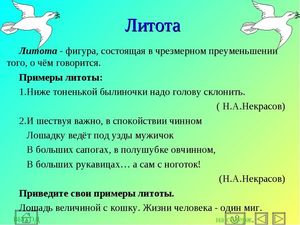 Что такое литота в русском языке