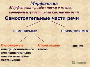 Темы по морфологии русского языка