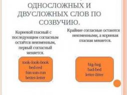 Характеристика односложных слов в русском языке