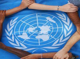 Международная защита прав человека — структура и документация