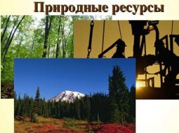 Какими природными ресурсами богата Россия: карта полезных ископаемых
