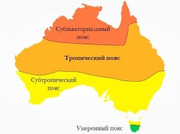 Интересные факты о природных зонах Австралии