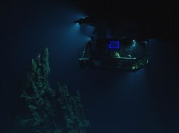 Марианская бездна: самая глубокая впадина Мирового океана