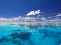 Суша и мировой океан: водное пространство, разделяющее материки, и его площадь