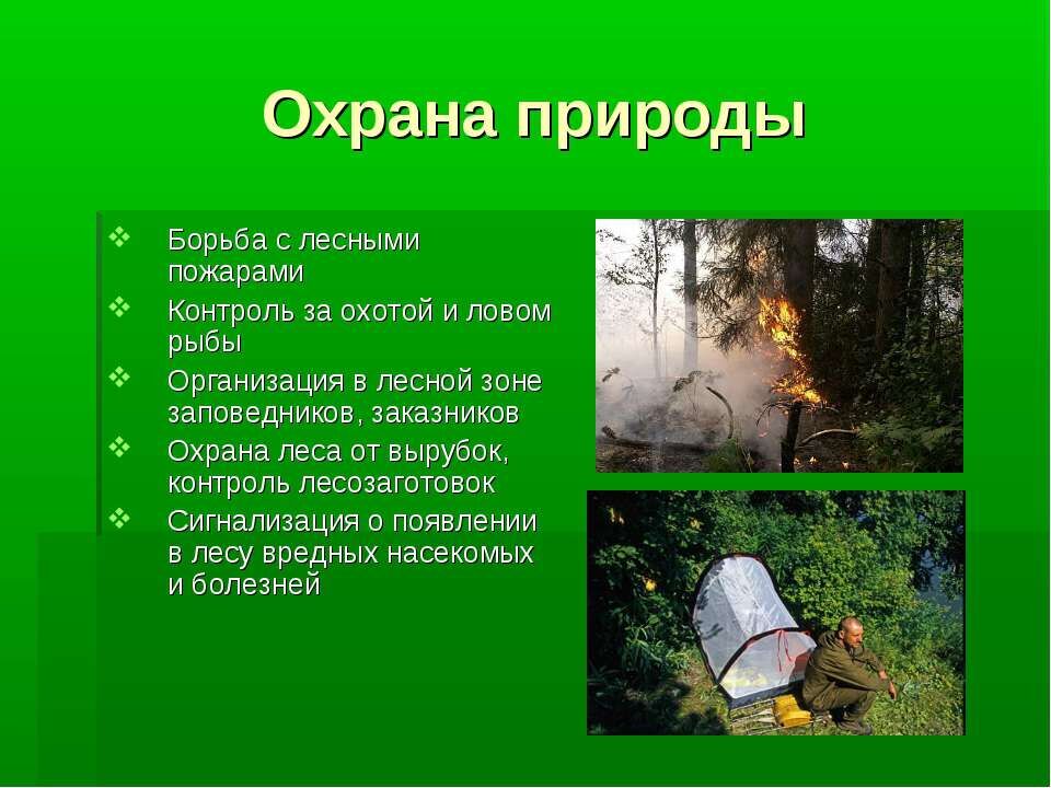Меры борьбы с огнем. Охрана природы. Экология и охрана природы. Охрана природы доклад. Природа защита окружающий среды.