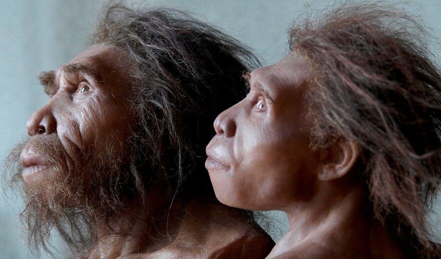 предки человека