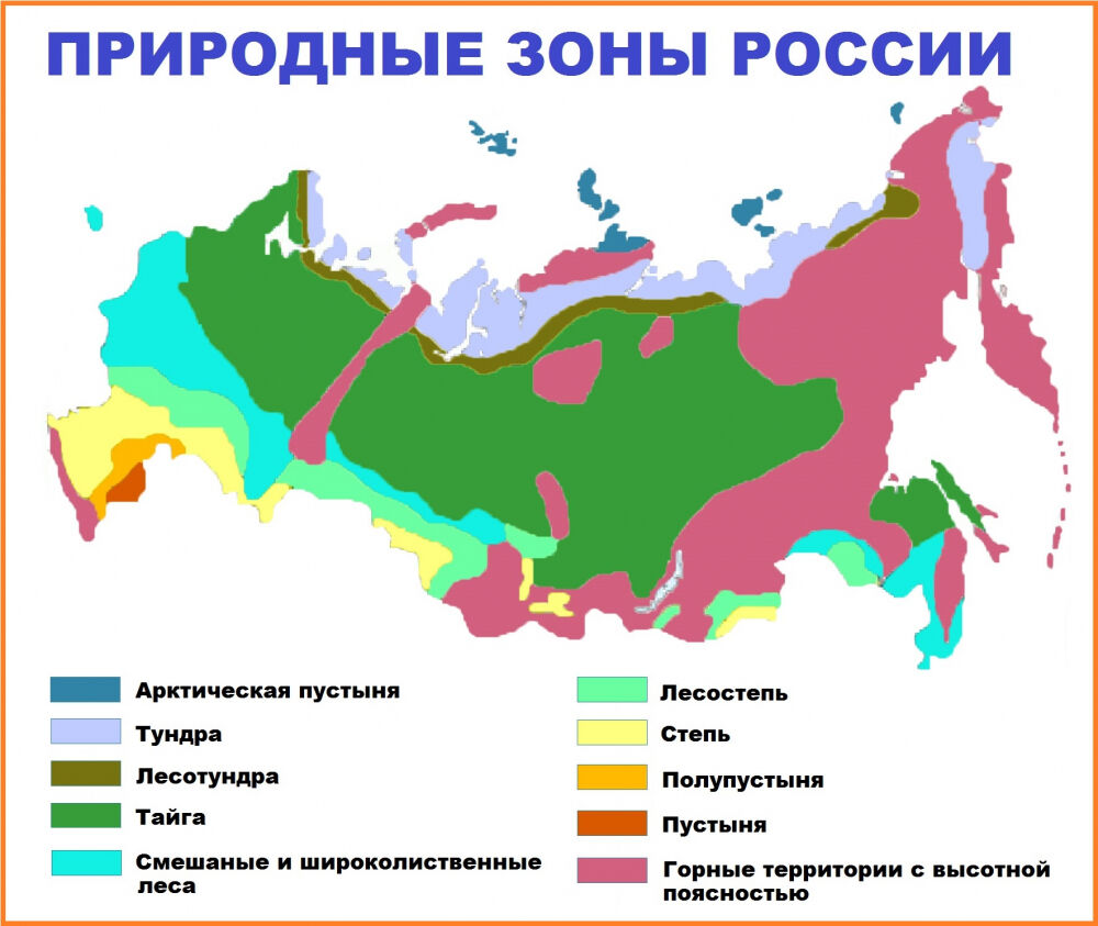 животный мир россии