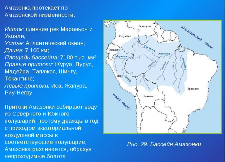 Опишите по плану географическое положение амазонской низменности по плану