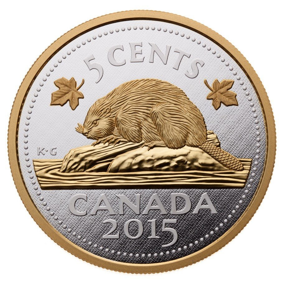 Бобры банк. Бобр символ Канады. Канадский Бобр символ Канады. Бобер на канадской монете. Канадская монета с бобром.