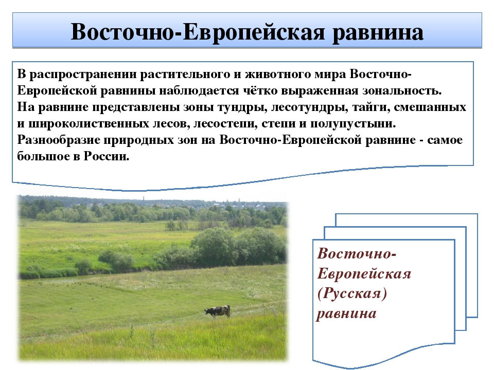 климат русской равнины (главный ключ)