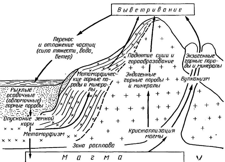 Осадочные горные породы образуются из магмы. Осадочные горные породы схема. Метаморфические горные породы схема образования. Схема образования магматических горных пород. Происхождение магматических горных пород схема.