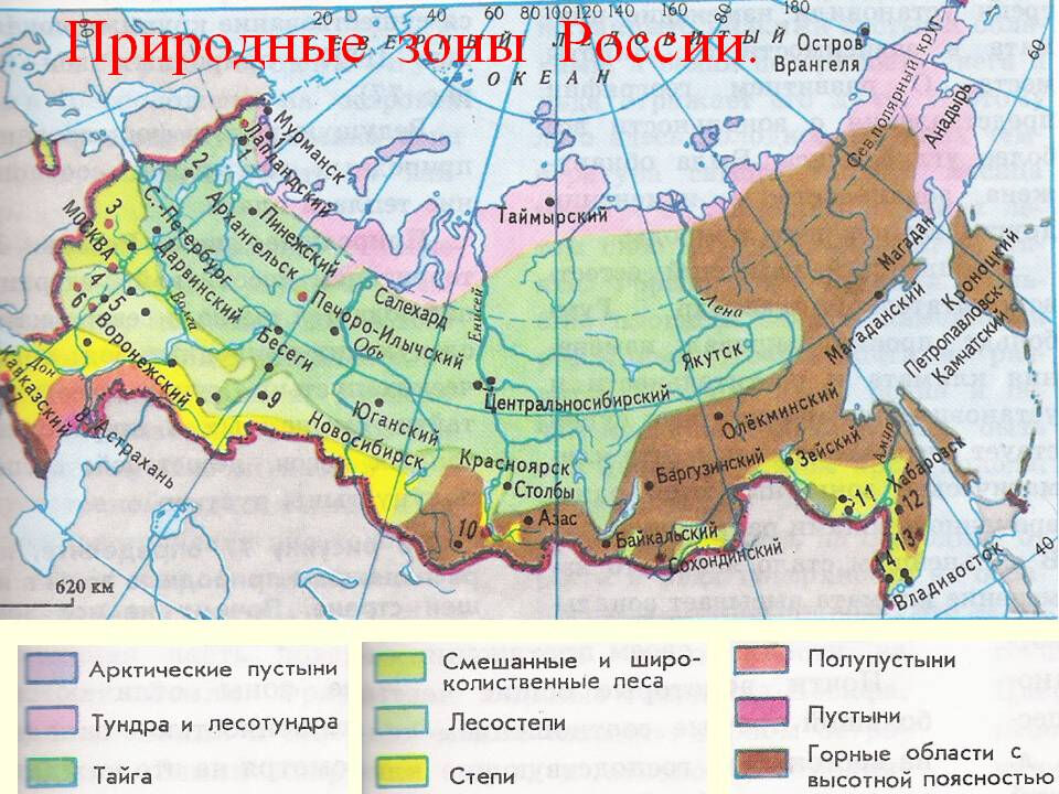 Арктические пустыни россии карта