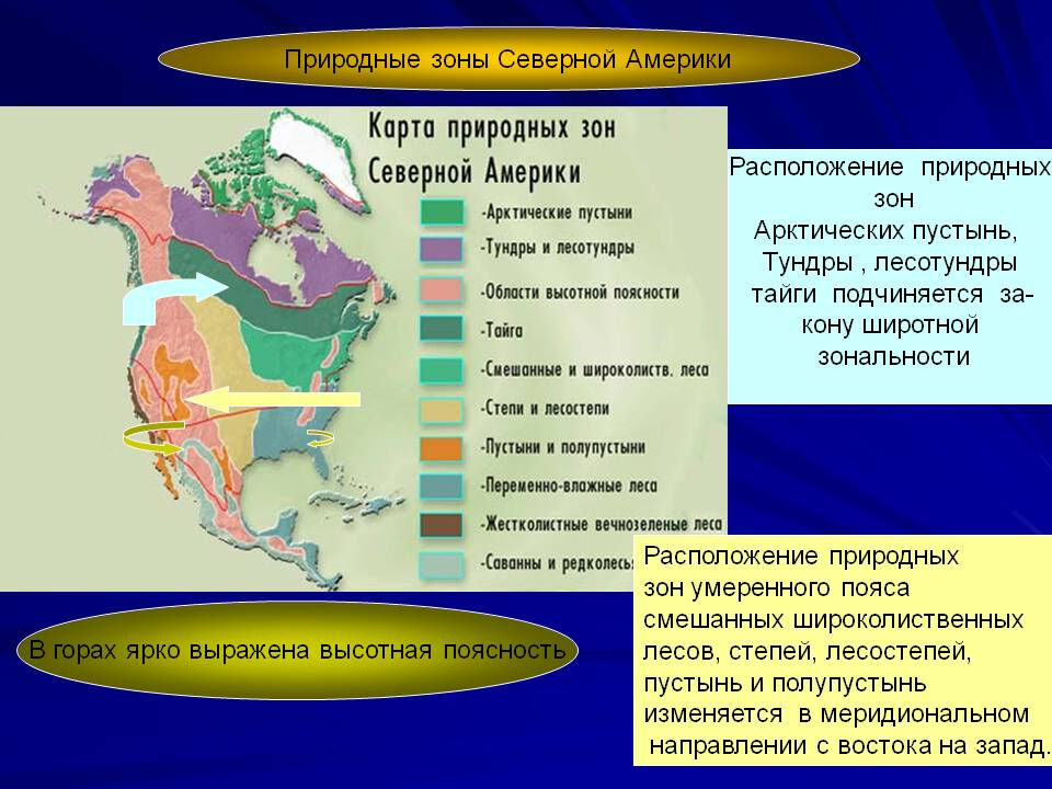 Климат природных зон северной америки таблица. Природные щоны Северной Америк. Природные зоны Северной амер. Расположение природных зон Северной Америки. Природные зоны природные зоны Америки Северной.