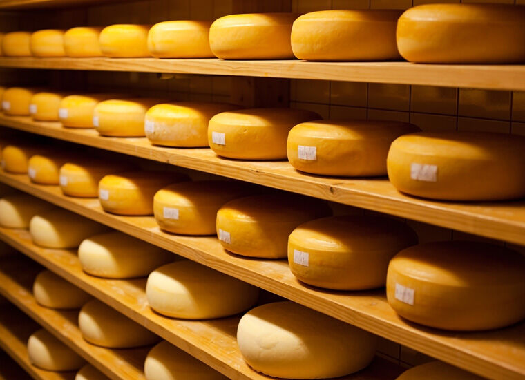 Твердый сыр «Чеддер Даниэль» производства Новгород-Северского сырзавода